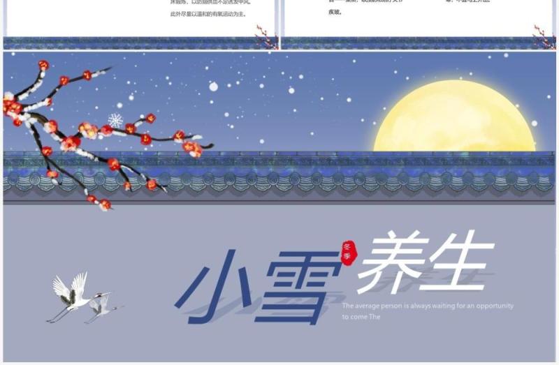 蓝紫色简约中国风小雪养生宣传PPT模板