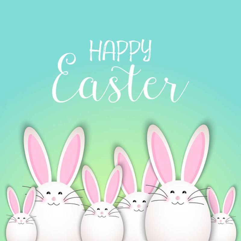 可爱的复活节兔子背景
