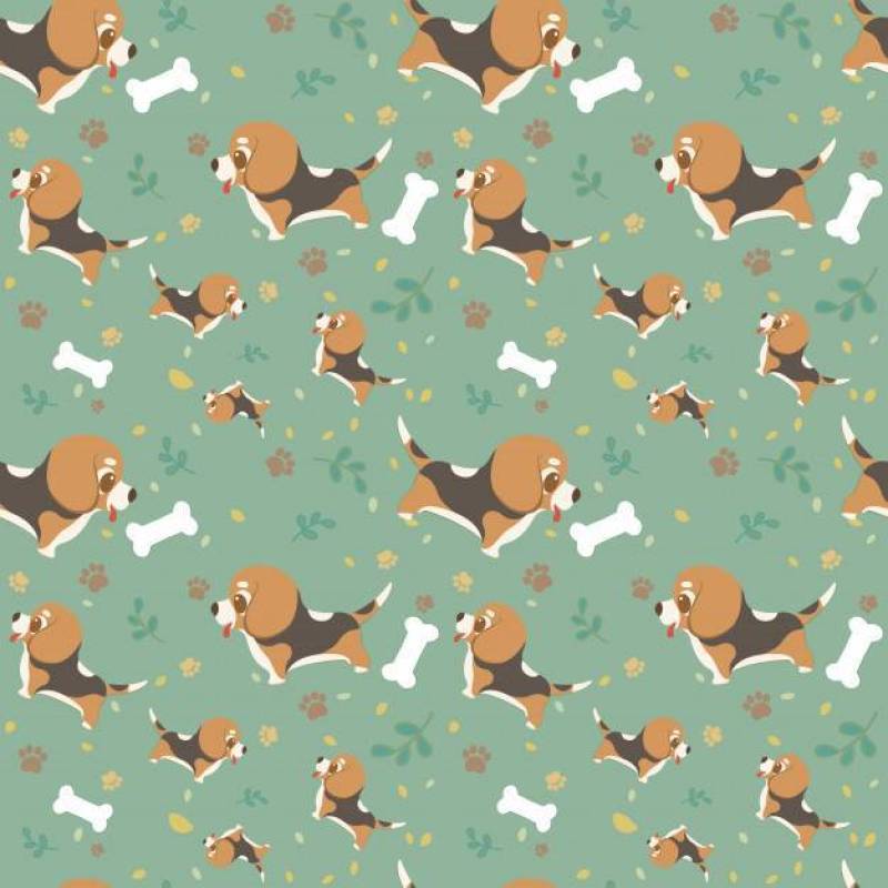 与爪子，叶子和骨头的无缝的样式动画片狗品种小猎犬。