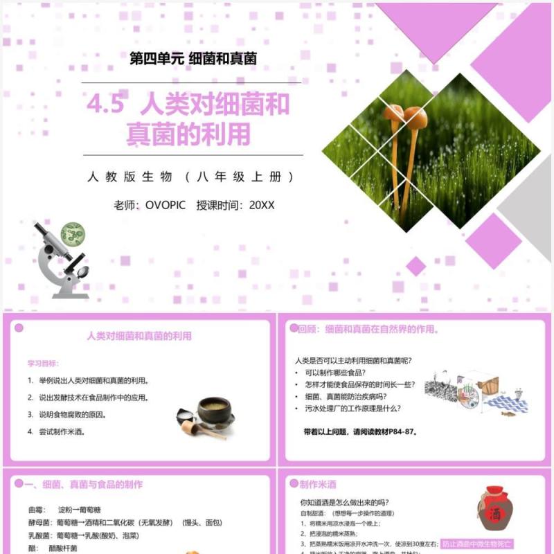 部编版八年级生物上册人类对细菌和真菌的利用PPT模板 部编版八年级生物上册人类对细菌和真菌的利用PPT模板
