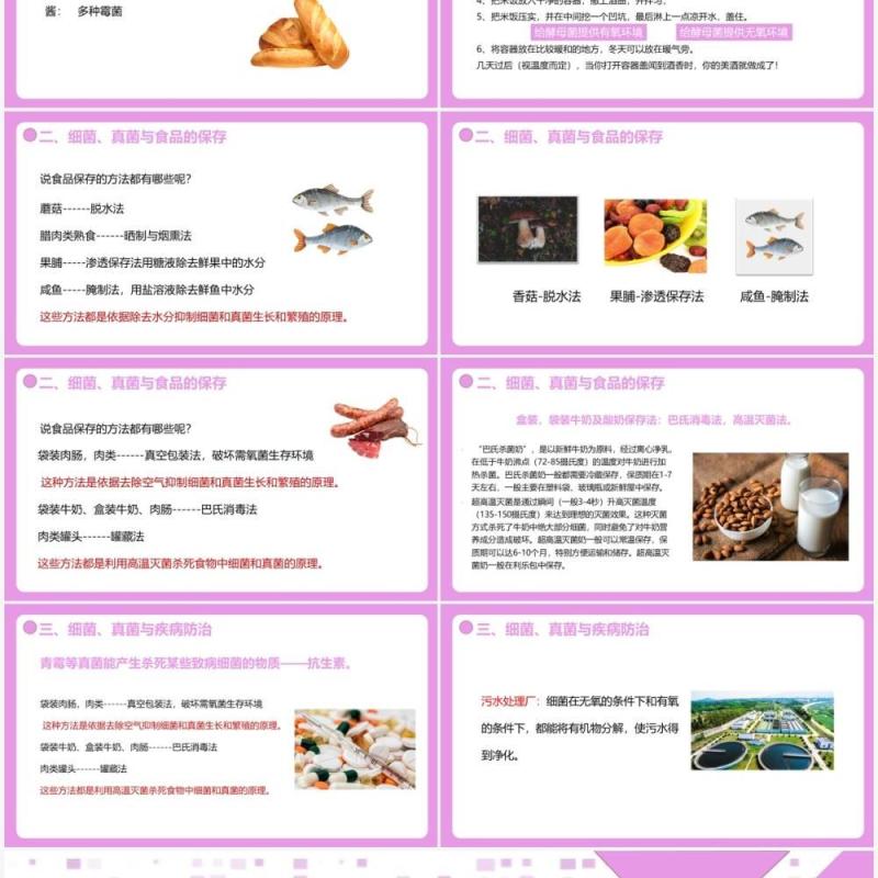 部编版八年级生物上册人类对细菌和真菌的利用PPT模板 部编版八年级生物上册人类对细菌和真菌的利用PPT模板