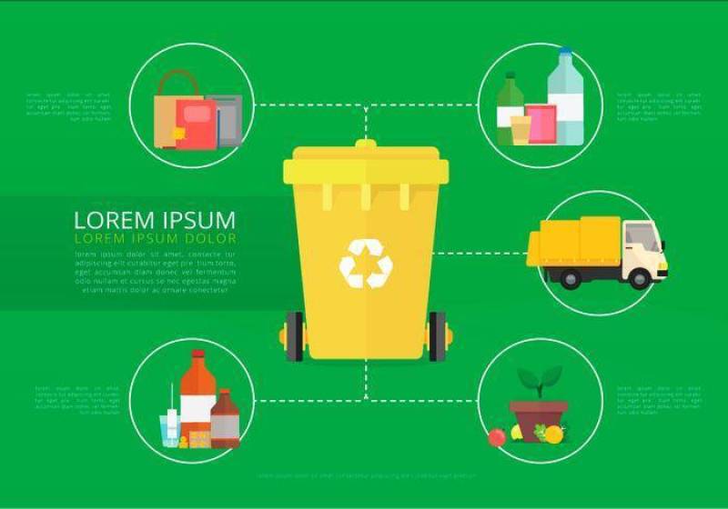 自然界的生命。回收过程。