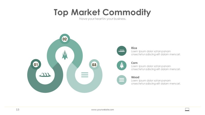 浅墨绿信息可视化PPT图表13