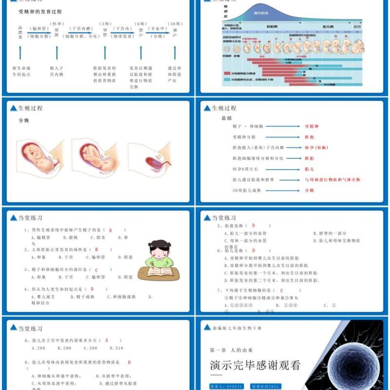 部编版七年级生物下册人的生殖课件PPT模板