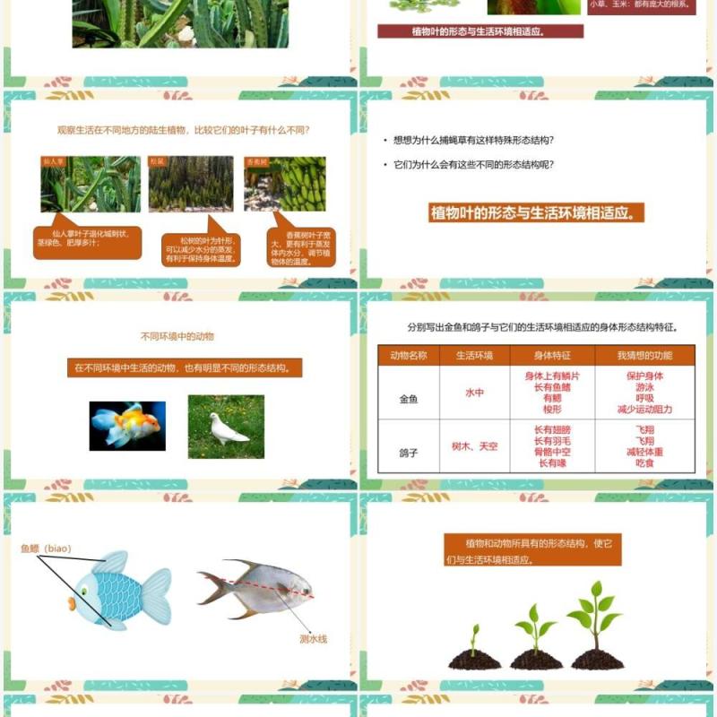 教科版六年级科学上册原来是相关联的PPT模板