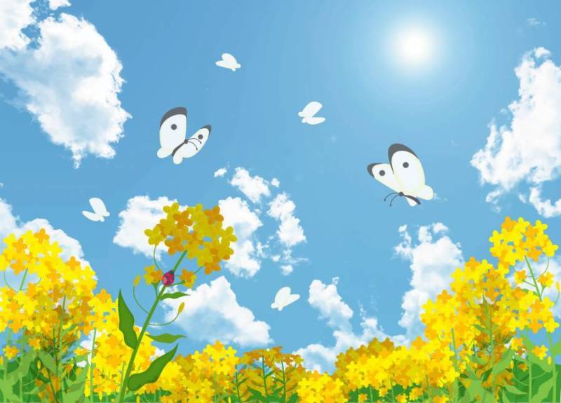 强奸花和蓝天和monstrochu