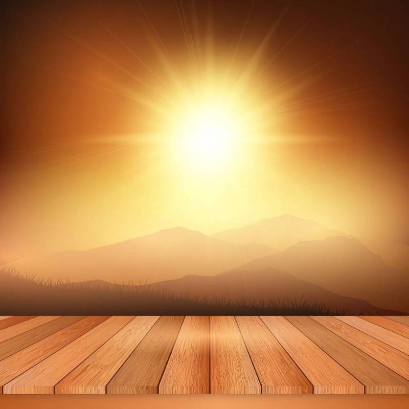 望着阳光明媚的风景的木桌