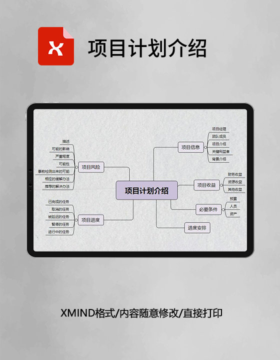 思维导图简洁项目计划介绍XMind模板