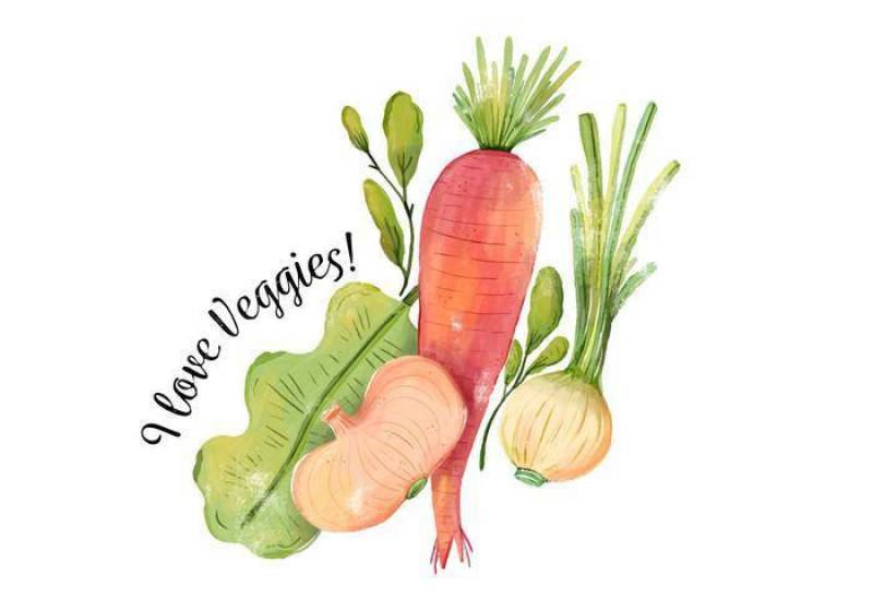 水彩蔬菜，胡萝卜，洋葱和生菜