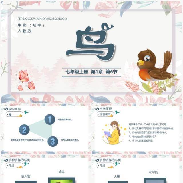 部编版七年级语文上册鸟课件PPT模板 部编版七年级语文上册鸟课件PPT模板