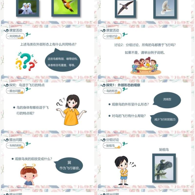 部编版七年级语文上册鸟课件PPT模板