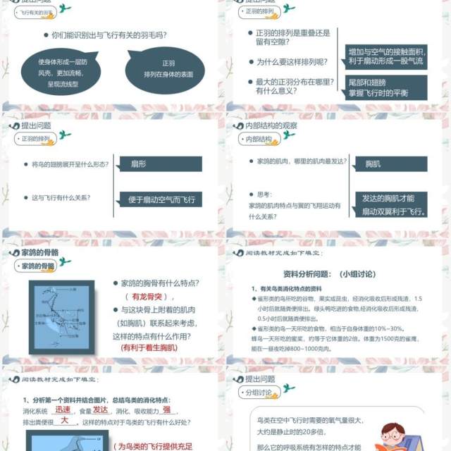 部编版七年级语文上册鸟课件PPT模板 部编版七年级语文上册鸟课件PPT模板