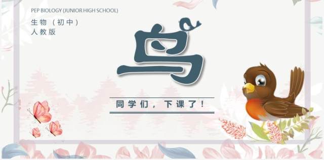 部编版七年级语文上册鸟课件PPT模板 部编版七年级语文上册鸟课件PPT模板