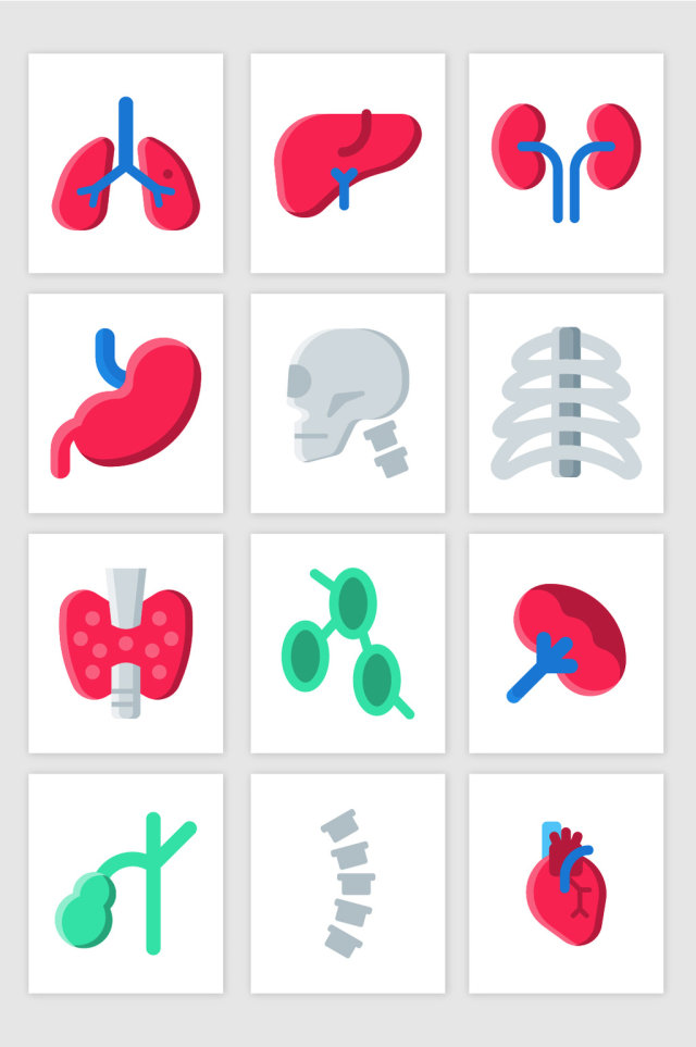 UI心肺内脏彩色小图标矢量图形
