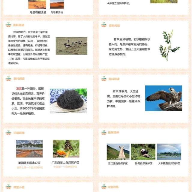 教科版五年级科学上册维护生态平衡PPT模板 教科版五年级科学上册维护生态平衡PPT模板