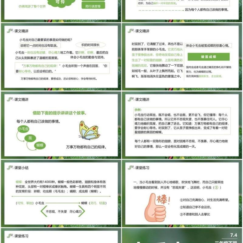 部编版二年级语文下册小毛虫课件PPT模板