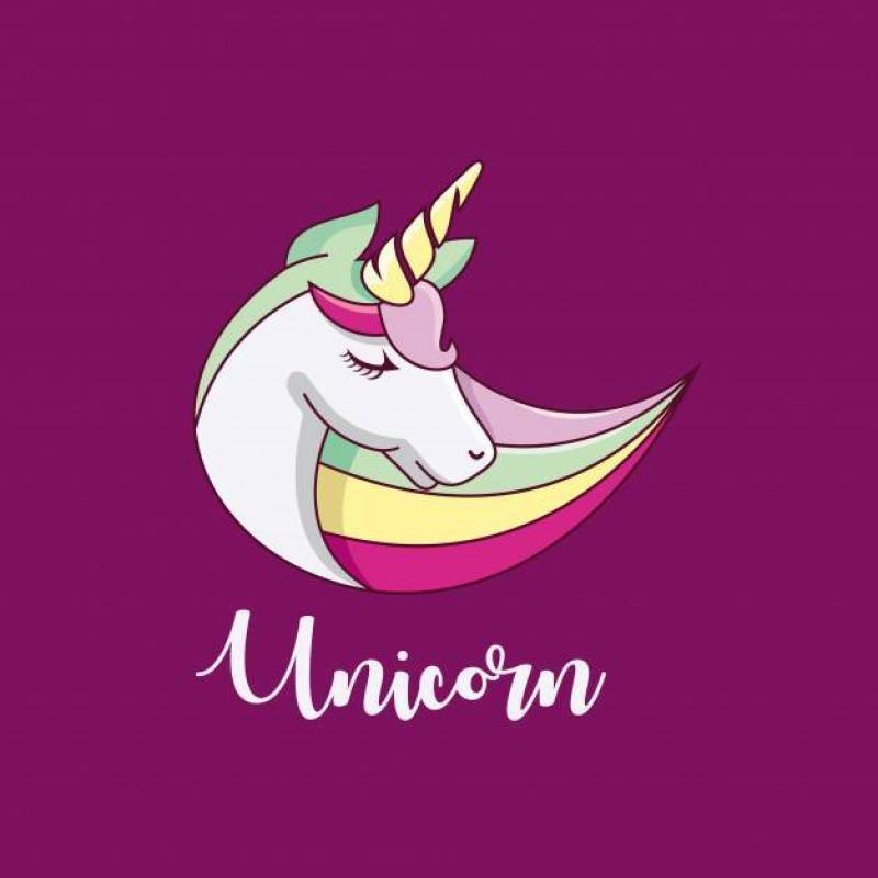 Swoosh colorful unicorn vector