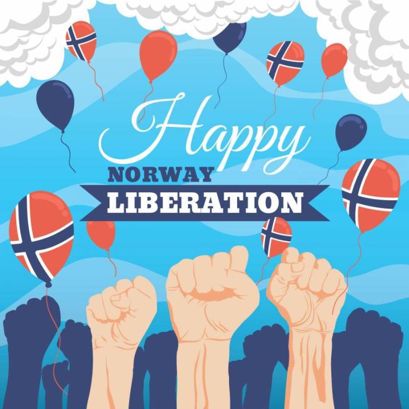挪威解放日插图