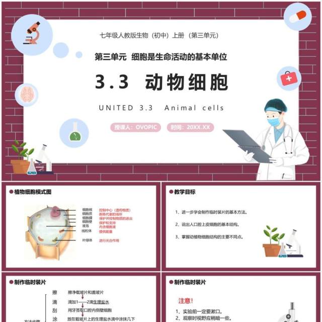 部编版七年级生物上册动物细胞课件PPT模板 部编版七年级生物上册动物细胞课件PPT模板