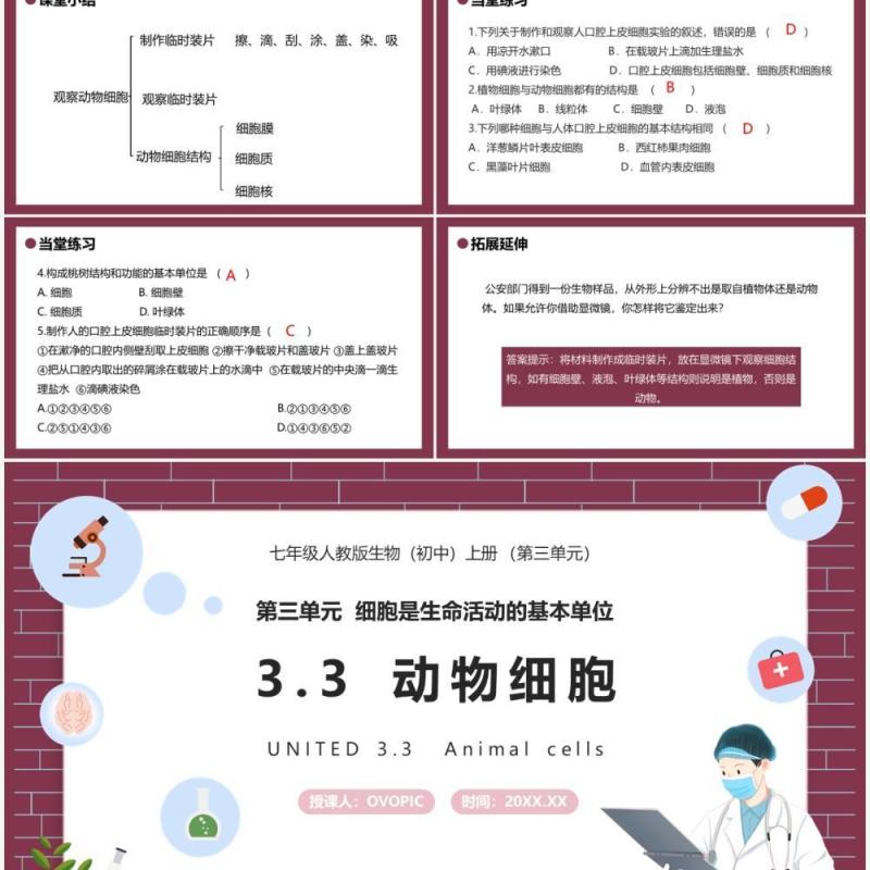 部编版七年级生物上册动物细胞课件PPT模板