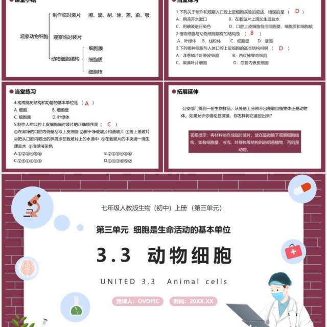 部编版七年级生物上册动物细胞课件PPT模板 部编版七年级生物上册动物细胞课件PPT模板
