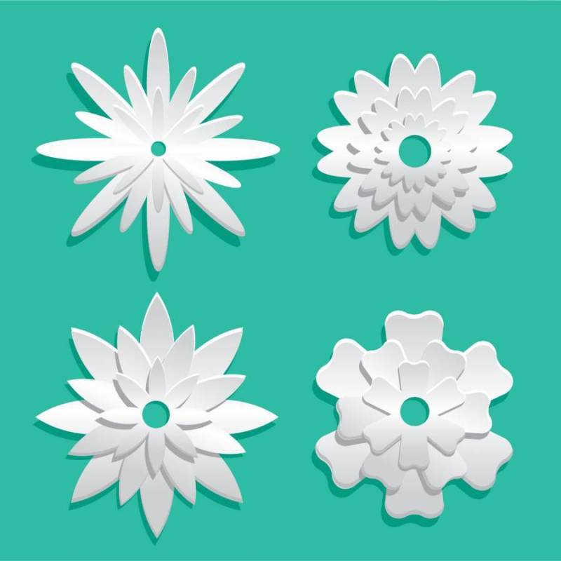 白色3d花卉Papercraft矢量