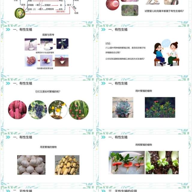 部编版八年级生物下册植物的生殖课件PPT模板