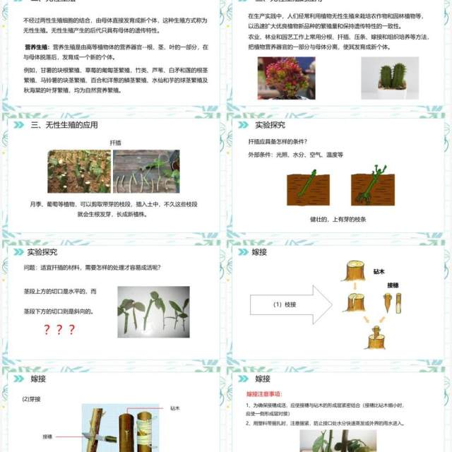 部编版八年级生物下册植物的生殖课件PPT模板
