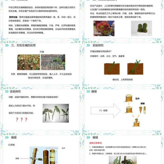 部编版八年级生物下册植物的生殖课件PPT模板