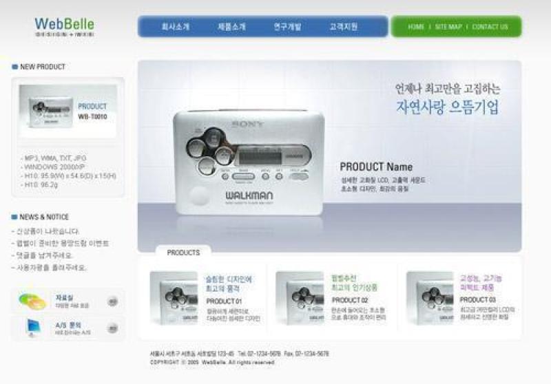 企业网站模板PSD分层(556)