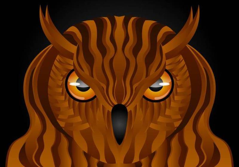 令人惊叹的布荷壁纸矢量