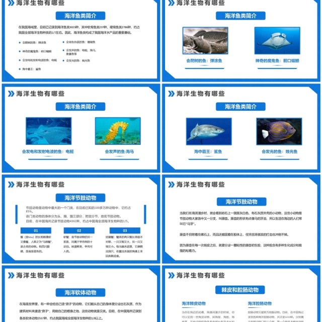 蓝色简约风保护海洋资源世界海洋日PPT模板