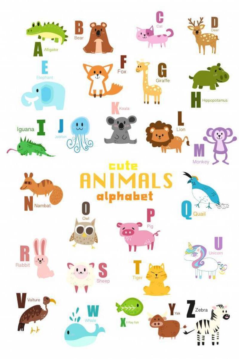 可爱的动物字母表一套。