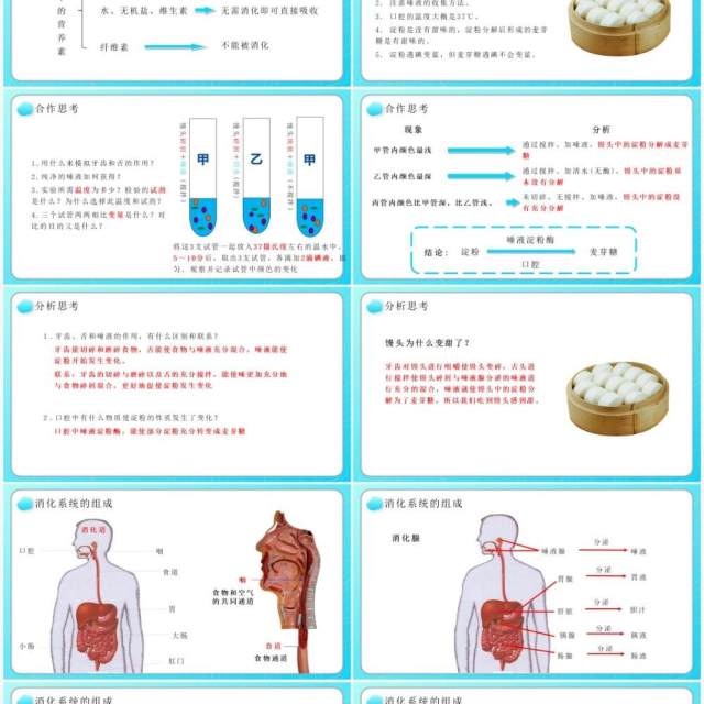 部编版七年级生物下册消化和吸收课件PPT教育课件模板