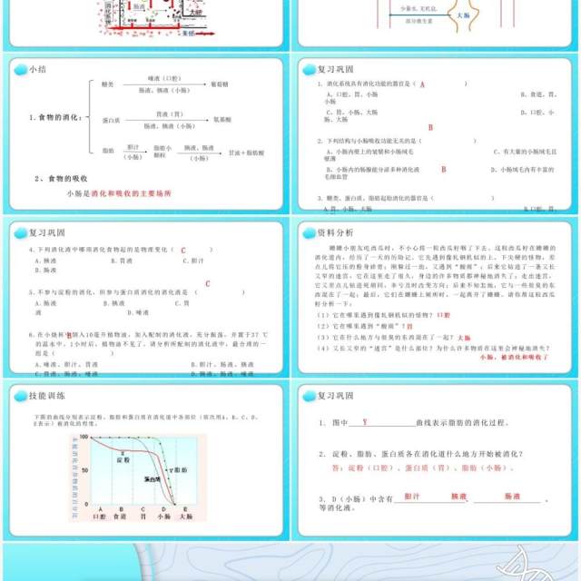 部编版七年级生物下册消化和吸收课件PPT教育课件模板