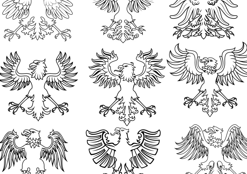 纹章轮廓与书法元素10