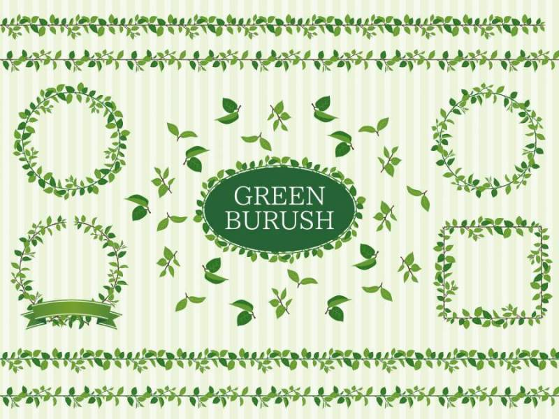 新鲜的绿色·绿叶刷子集合·材料汇集