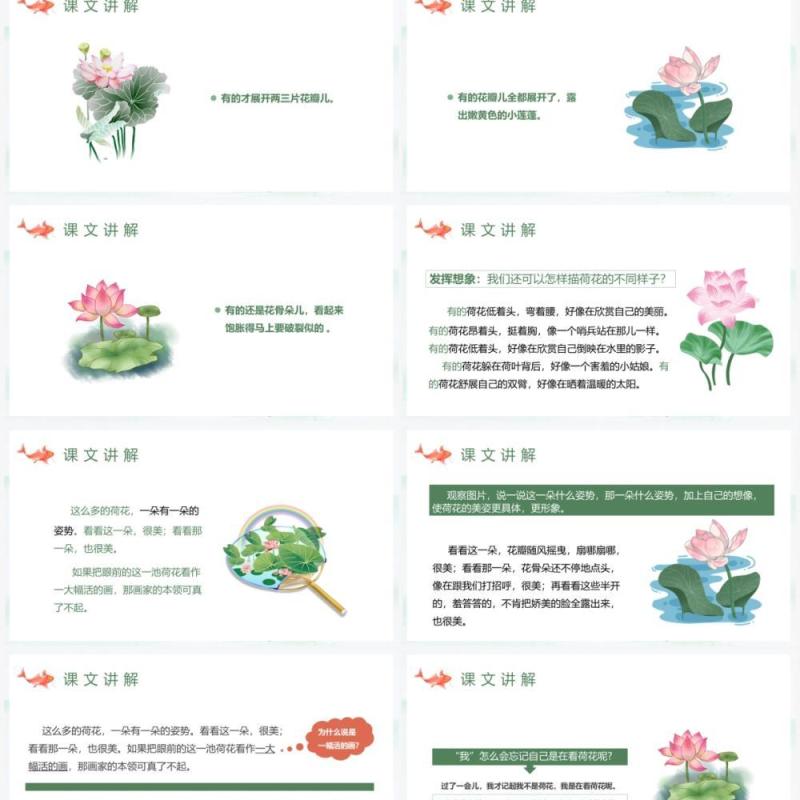 部编版三年级语文下册荷花课件PPT模板