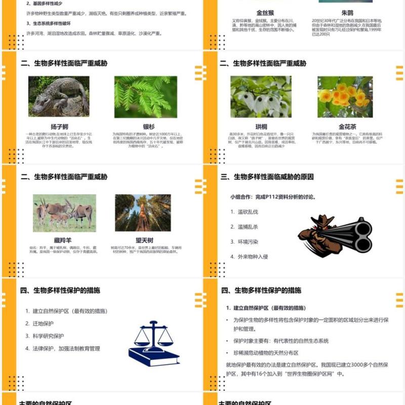 部编版八年级生物上册保护生物的多样性PPT模板