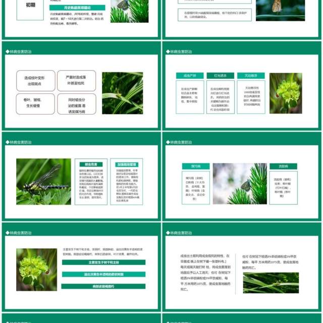 林病虫害防治动态PPT模板