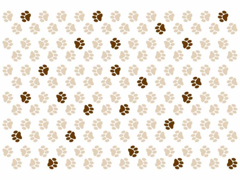 狗脚印背景