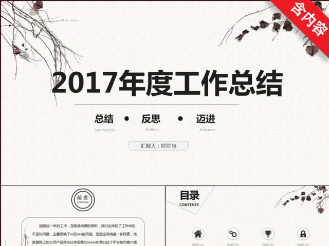 2017年度工作总结