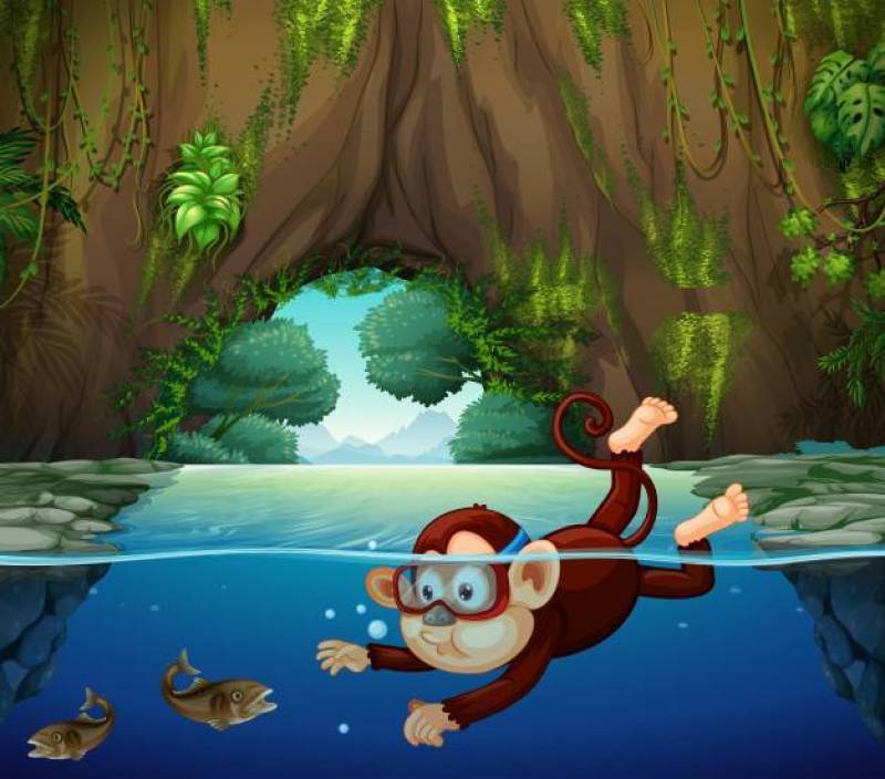 在河里潜水的猴子