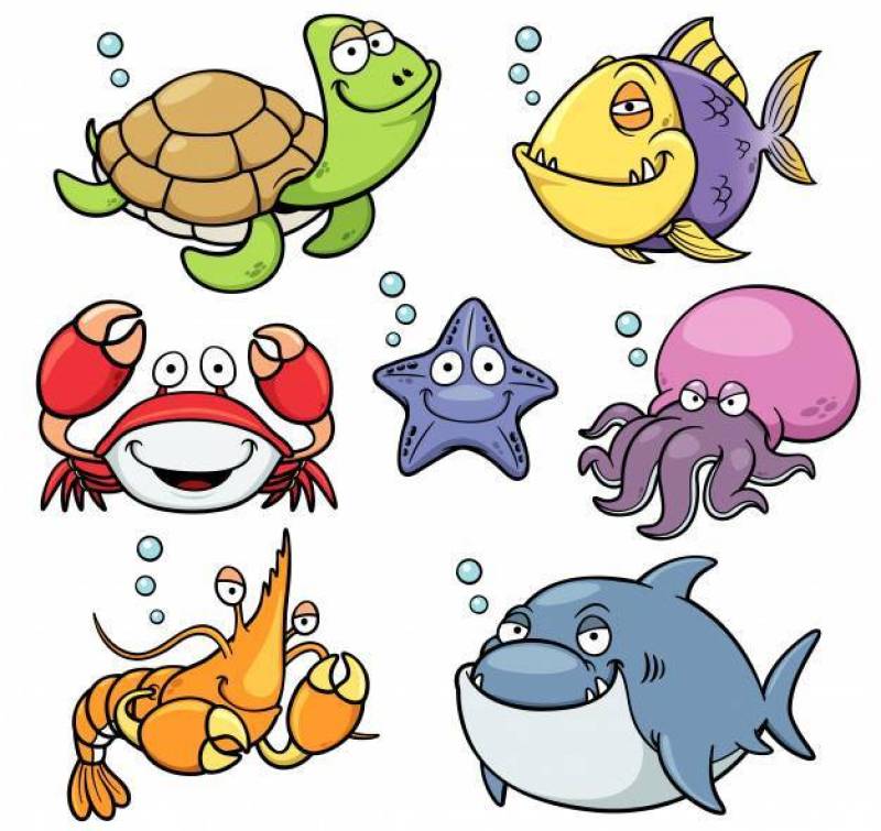 Sea Animals Set