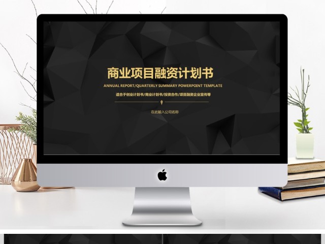 简约大气黑金商务策划融资计划书 简约大气黑金商务策划融资计划书