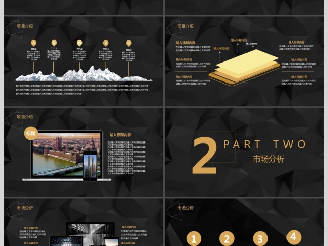 简约大气黑金商务策划融资计划书 简约大气黑金商务策划融资计划书