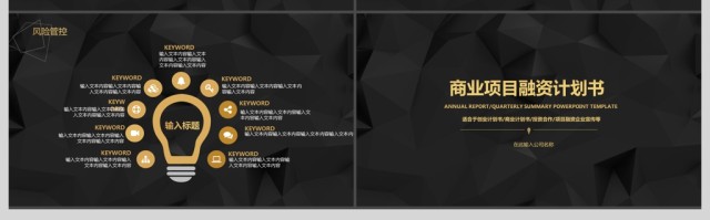 简约大气黑金商务策划融资计划书 简约大气黑金商务策划融资计划书