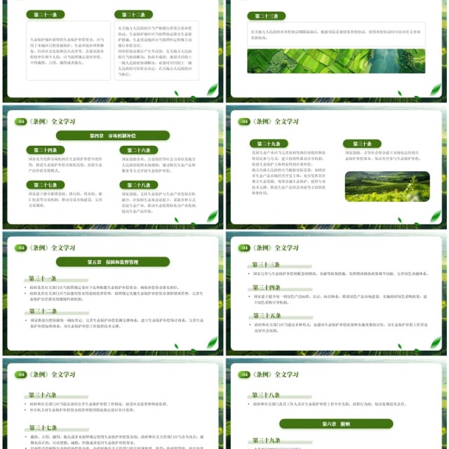 绿色简约风生态保护补偿条例PPT模板 绿色简约风生态保护补偿条例PPT模板