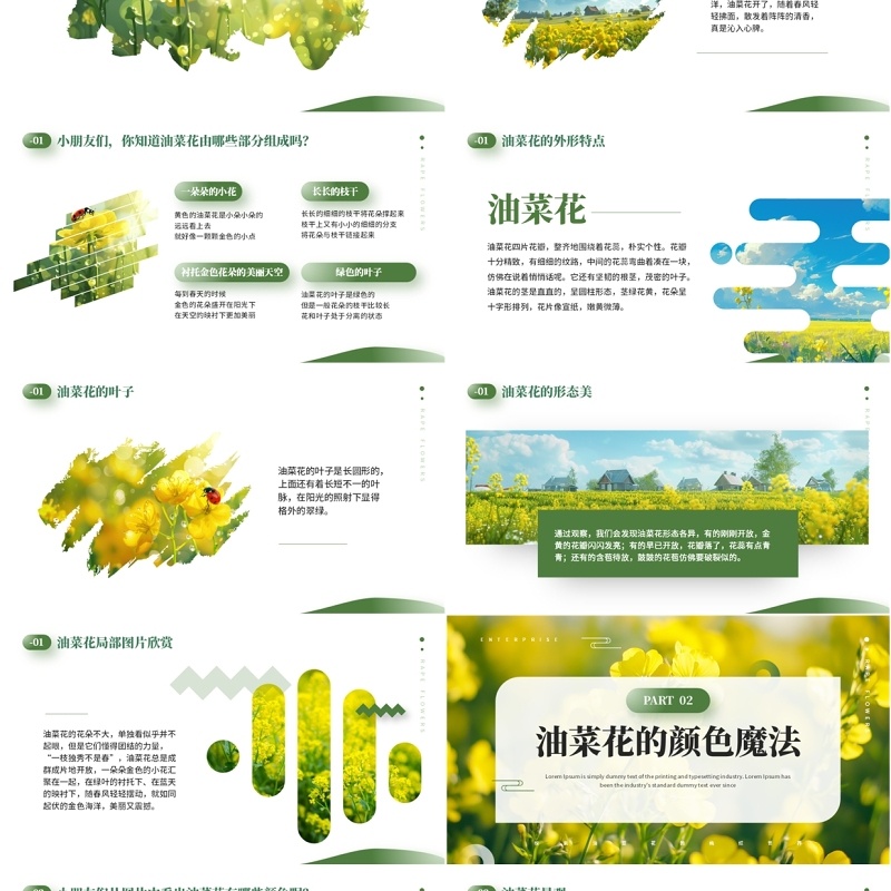 绿色小清新油菜花开美术课件PPT模板