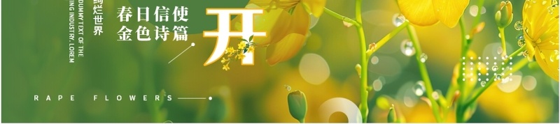 绿色小清新油菜花开美术课件PPT模板
